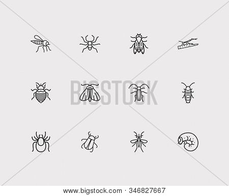 Bug Icons Set. Mosquito And Bug Icons With Bug, Pest And Horsefly. Set Of Life For Web App Logo Ui D