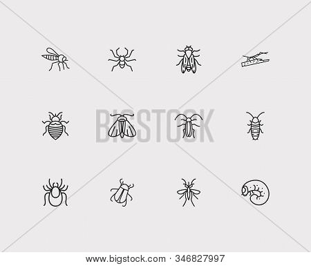 Bug Icons Set. Mosquito And Bug Icons With Bug, Pest And Horsefly. Set Of Life For Web App Logo Ui D