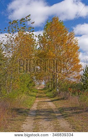 Bucolic Road In The Fall In Taras Poitn State Park In Michigan