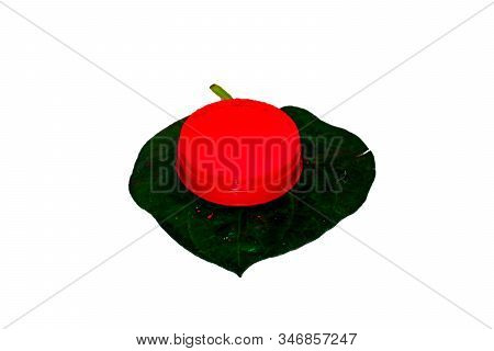 Sindoor Or Sindur, Vermilion Powder Pot On Betel Leaf.