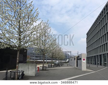 University Of Economy, Pedagogy And Technology In Windisch Near Trainstation Brugg In Springtime At 