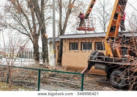 Workers In The Municipal Utilities Cut Tree Branches. Trimming Tree Branches Interfering With Power 