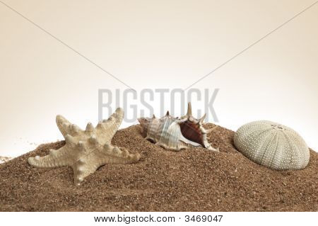 Spiaggia