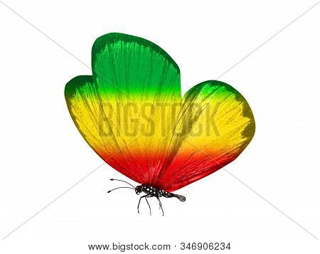 Butterfly Isolated On A White Background. With Wings Of Yellow, Green, Red. Rasta Color.