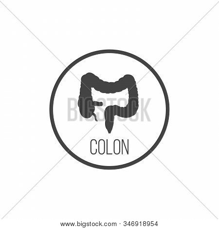 Vector Colon Simple Icon. Human Internal Abdomen Organs. Stock Vector Illustration Isolated On White