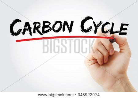 Carbon Cycle Text With Marker, Concept Background