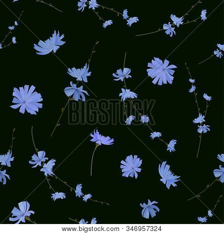 Flowers And Branches With Chicory Flowers On A Dark Background. Seamless Pattern. Vector
