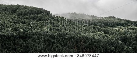 Winter Panoramic Landscape Of A Hill Forest In Moieciu De Jos, Brasov, Transylvania, Romania
