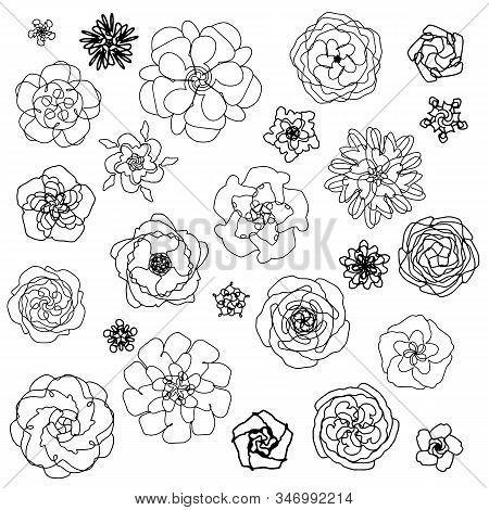 Vector Seamless Pattern With Flower. On A Yellow Background, Black Outline. In A Simple Style. For F