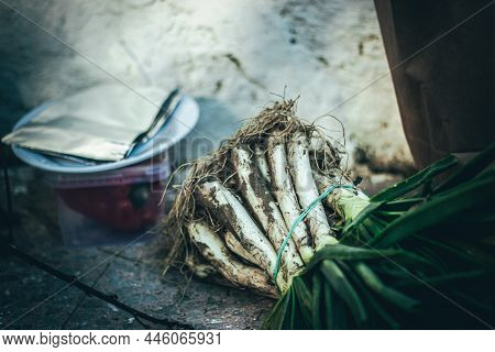 Calçots, A Young Catalan Onion. 