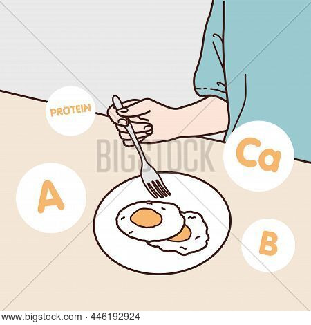 A Fried Egg Breakfast Contains Protein, Vitamin A, B Vitamins And Calcium, Illustrator Design And Is
