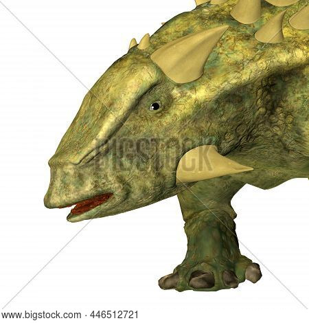 Talarurus Ankylosaurus Head 3d Illustration - Talarurus Was An Armored Ankylosaurus Dinosaur That Li