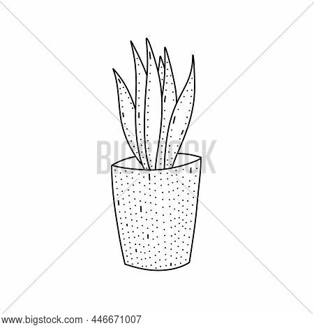 Hand Drawn Vector Illustration Of S Cute Plant In Housepot. Cute Illustration Of A Plant On A White 