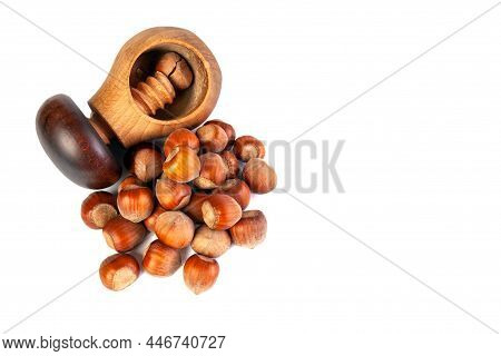 Bunch Of Hazelnhazelnuts In Shell Isolated With Space For Textuts With Shell On A White Background