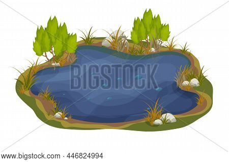 Lake, Swamp With Stones, Bulrush Lily Leaves In Cartoon Style Isolated On White Background. Forest F