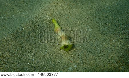 Pear Core On Sea Bottom, Aegean Sea, Greece, Halkidiki. Sea Pollution.