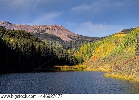 Woods Lake. Golden Leaves Of Aspen Trees In The Beautiful Rocky Mountains Of Colorado. Lizard Head W