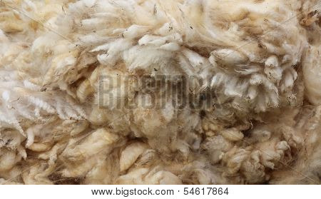 New Zealand Wool