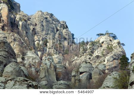 Rocky Mountain View