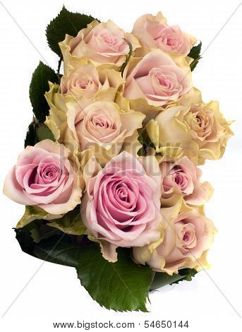 beautiful bouquet of pink roses