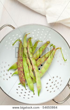 Scarlett Runner Beans