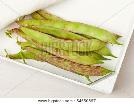 Scarlett Runner Beans