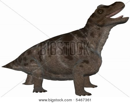 Keratocephalus - 3D Dinosaur