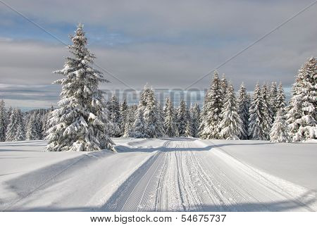 Snowy Mountain Road