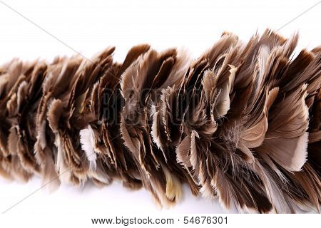 broom to sweep dust feather