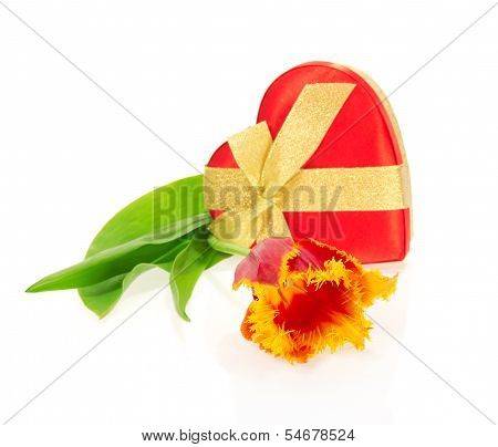 Tulip, the gift box of heart