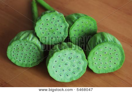 Lotus Württemberg auf Holz