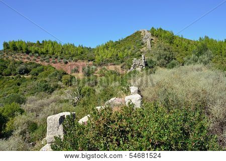 The Arcadian Wall