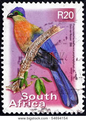 Postage Stamp South Africa 2000 Purple-crested Lourie