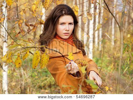 The Girl Among Young Birches In The Autumn