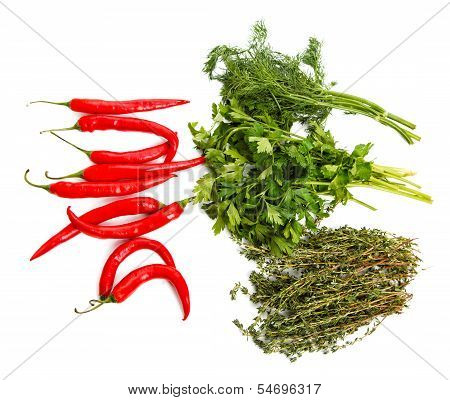 Still-life From Chilli Pepper  Parsley Thyme On A White