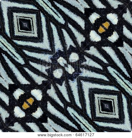 Best Texture From Butterfly Wing Skin Gathering In A Pattern