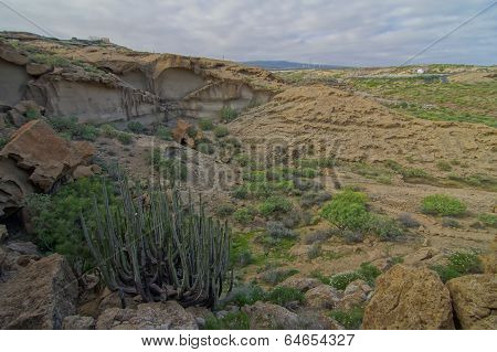 Sand and Rocks Desert