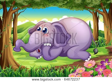 Illustration of a sad elephant at the forest
