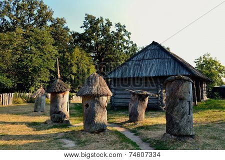 Pirogov Museum