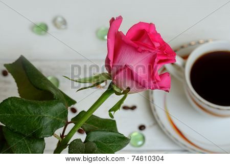Rose On A Background Of Coffee