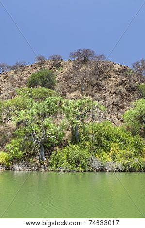 Island In Lake Baringo In Kenya.