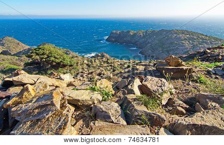 Cape Of Cap De Creus Peninsula, Catalonia, Spain
