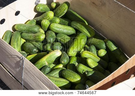 Fruits And Vegatables