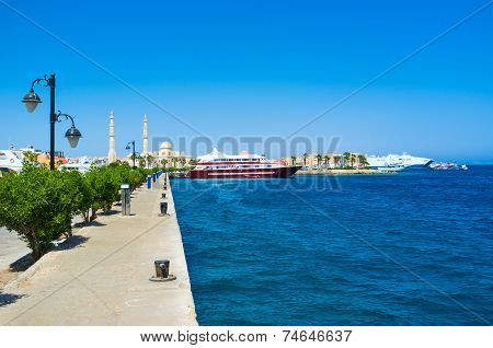 The Cruise Liner