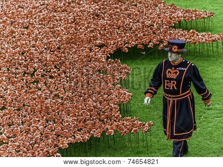 Poppies At Tower London/Yeoman Warders