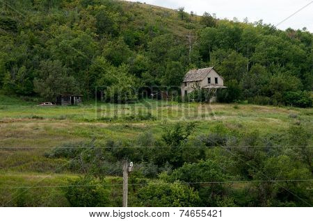 Homestead