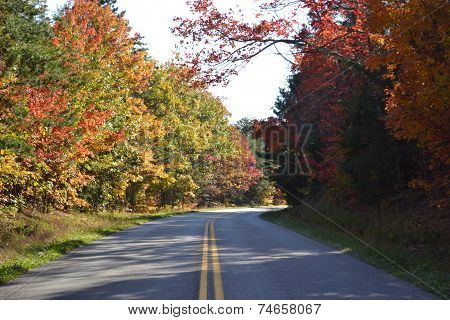 Colorful Road in the Fall
