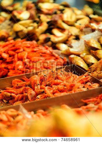 Shrimps Fish Market (fisketorget) In Bergen, Norway