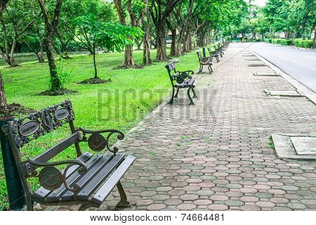 Chair In Garden
