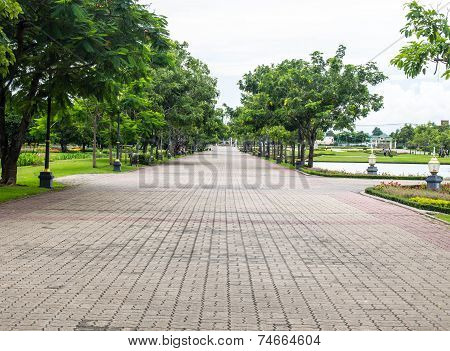 Garden Walkway
